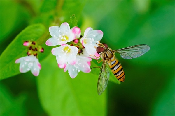 不常见又高冷的网名(精选203个)