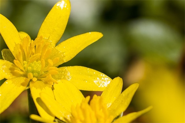 三个字的情侣名字大全(精选107对)