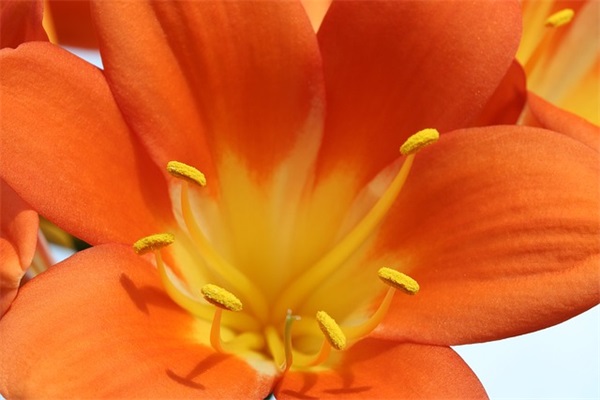 女生游戏网名霸气冷酷两个字