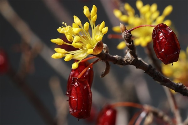 超干净好听的网名(109个)