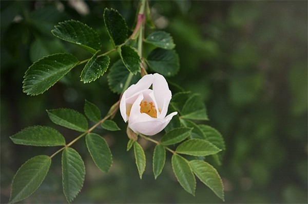 超拽的名字网名(121个)