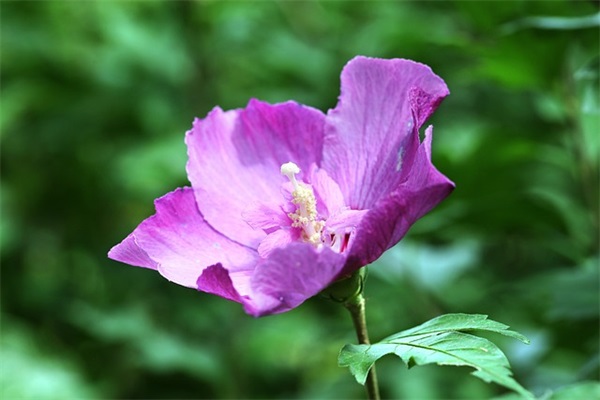 古风男名儒雅有仙气游戏名