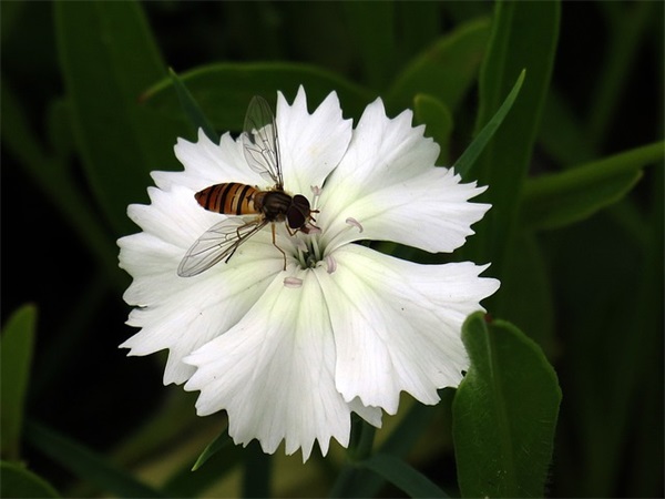 好听洋气的吴姓女孩的名字