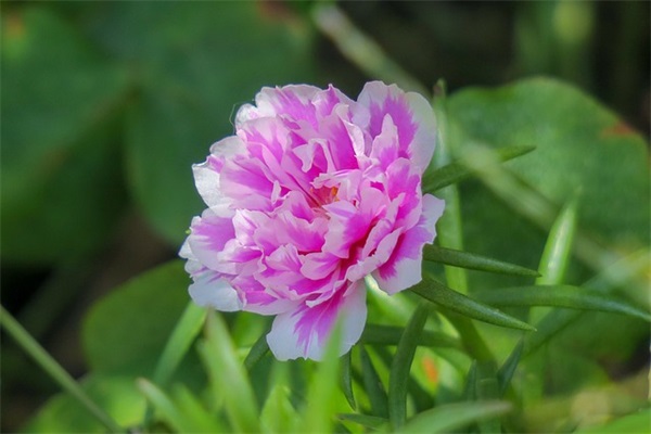 qq网名古风伤感