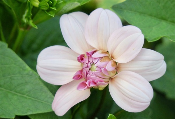 网名女简单霸气