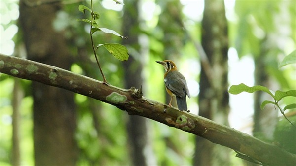 qq个性网女生网名