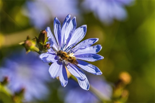 二字女生可爱网名