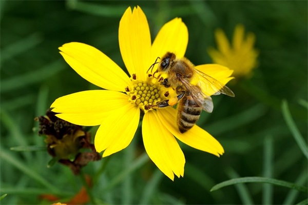 繁体生字网名女生简单