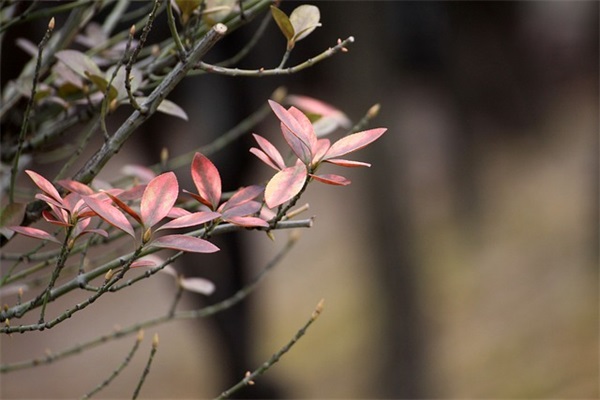 女生qq网名字大全