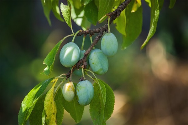 qq网名一男一女