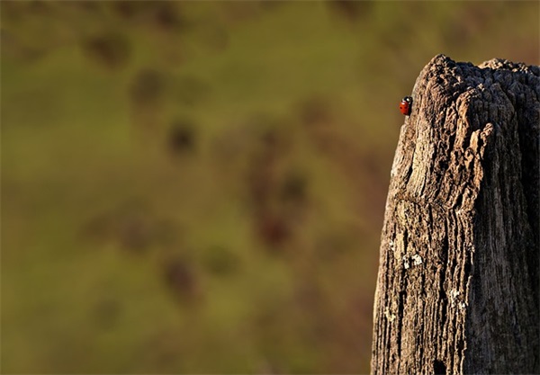 超萌女生网名简单