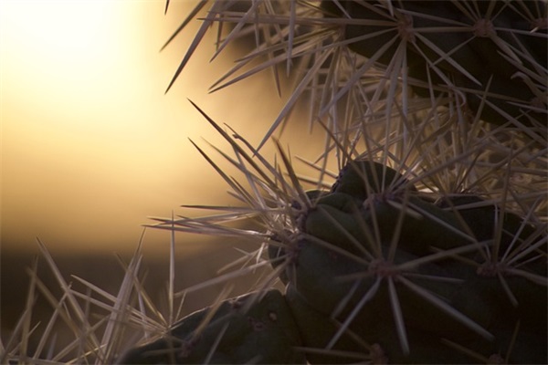 网名女可爱四字