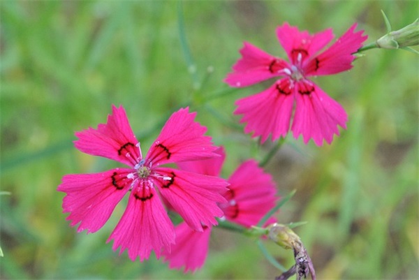 简单网名大全女生最新