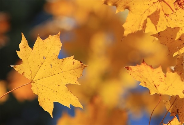 女强人的qq网名