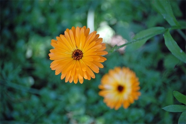 女生带符号个性网名