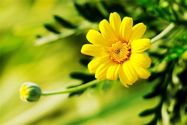 感动女朋友的QQ网名