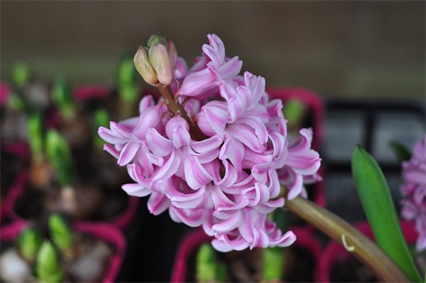 女生网名简单气质2字