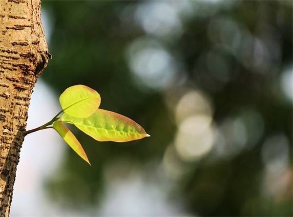 房间设计女生网名可爱