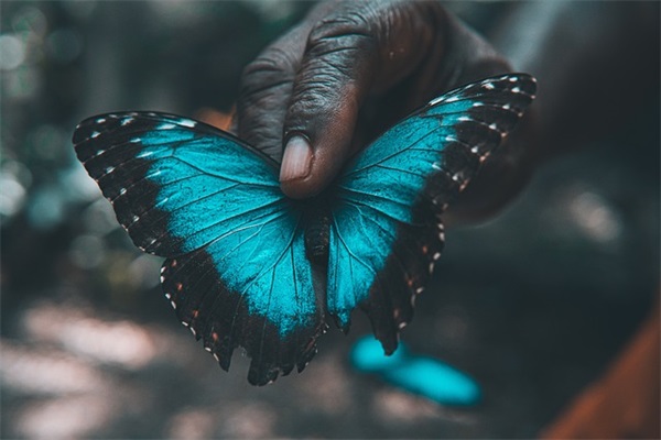 女网名霸气简单繁体字