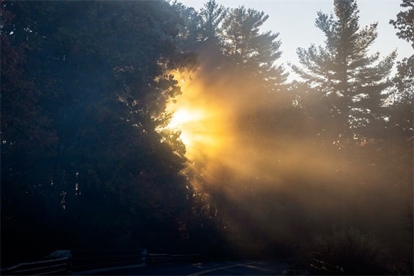 跟马有关的可爱网名女生