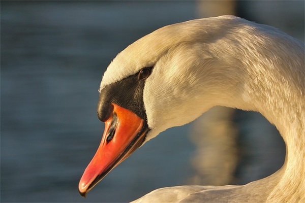 女生简单个性网名