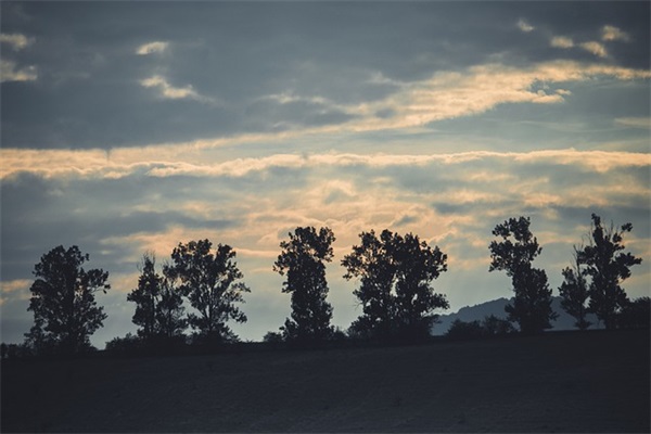 逗比女生简单气质网名