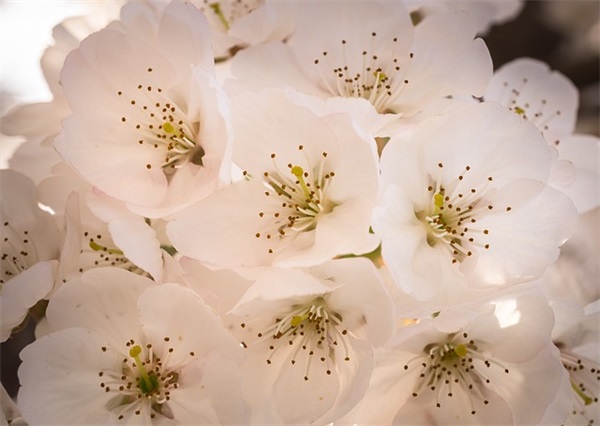 2025年4月发财的热门托卡生活：世界游戏搞笑名字大全