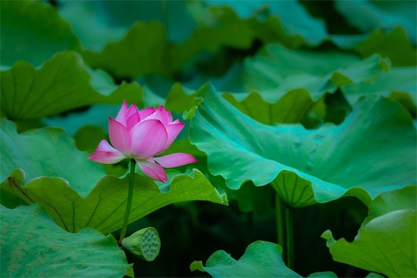 2025年最新搞笑的王者荣耀超长名字