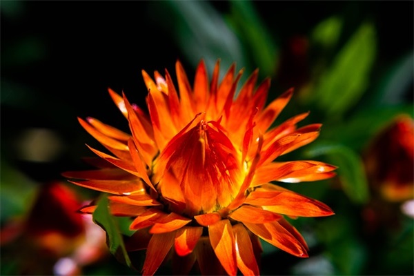 2025年群的名字三个字的部落冲突游戏名字