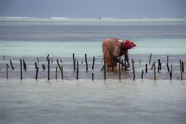 微信名正能量励志大全2025最新