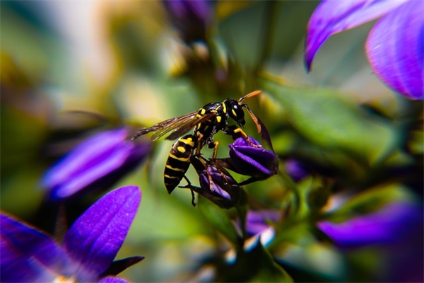 2025年4月热门樱花校园模拟器个性游戏英文名字