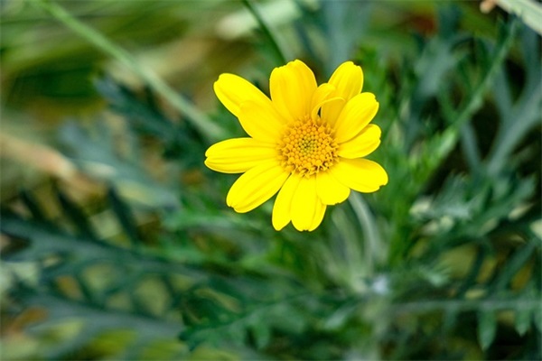 脑洞大侦探意境有诗意名字2025年游戏名字