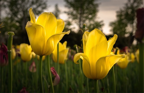 2025男生青春阳光可爱帅气的微信名字