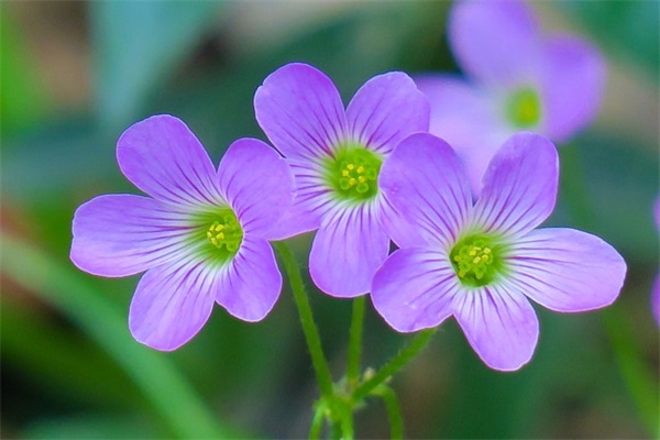 2025年热门纸嫁衣名字符号网游情侣名字