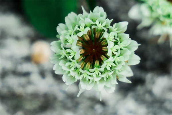 地下城与勇士手游游戏游戏名字男生大全2025