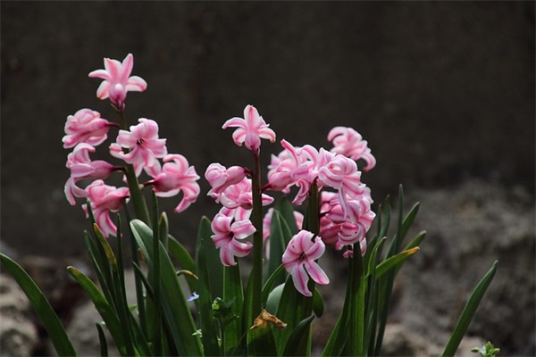 好听的易次元高冷简短名字2025