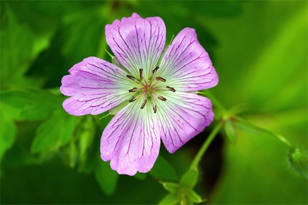 202504热门武林外传名字女生霸气冷漠(精选53个)