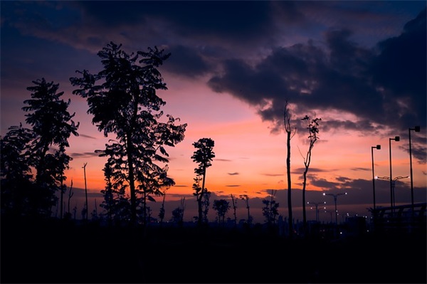 2025最新霸气的咸鱼之王名字男