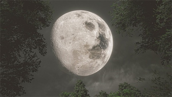 2025够级两个字的名字