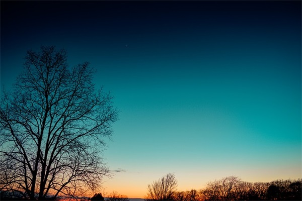 2025年Phigros五字id