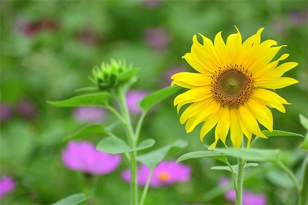 2025年4月赚钱的最新六个字的漫威超级战争游戏名字