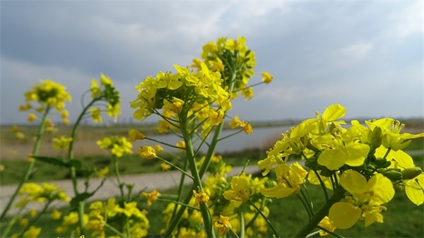 2025年霸气游戏名字