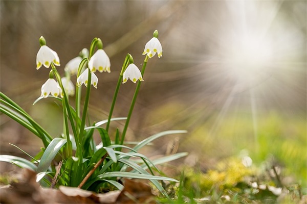 2025年热门非主流游戏名字荒野行动霸气带符号