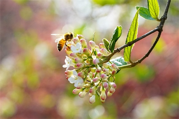 2025年4月发财的最新造梦西游霸气家族名字大全