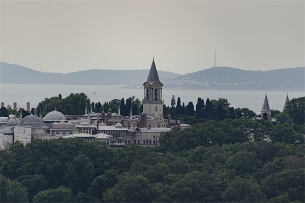 2025最新樱花校园宠物名字