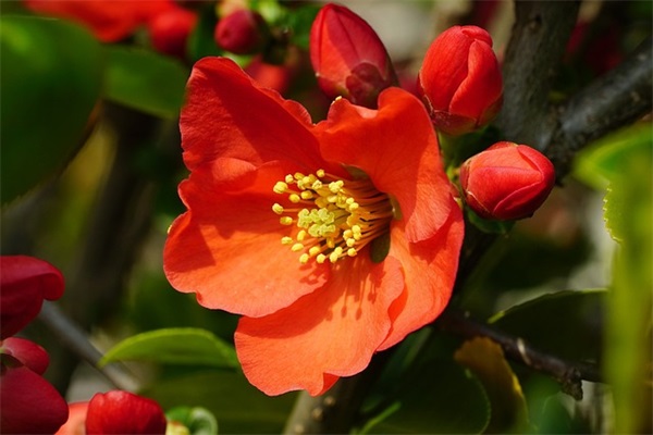 跑跑卡丁车和平精英搞笑名字大全2025游戏名字