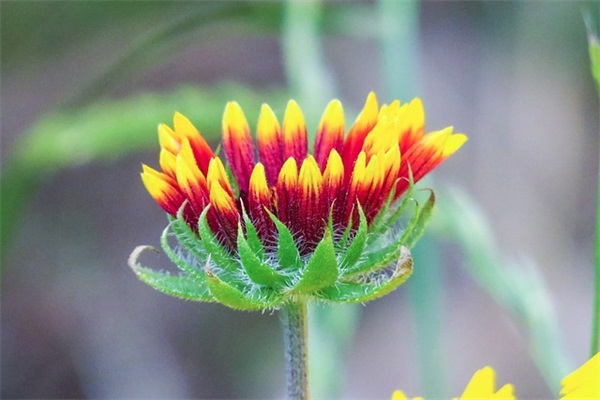 2025发财的最新王者荣耀名字大全男生桀骜不驯