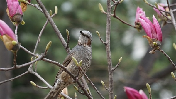 2025年陌陌游戏名字搞笑超拽