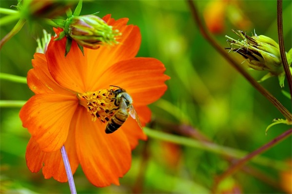 我的世界手游游戏好名字2025年游戏名字