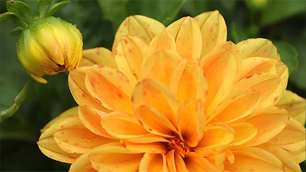 2025超拽情侣游戏名字大全最新版